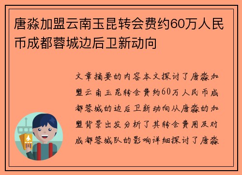 唐淼加盟云南玉昆转会费约60万人民币成都蓉城边后卫新动向
