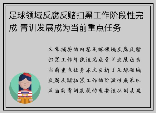 足球领域反腐反赌扫黑工作阶段性完成 青训发展成为当前重点任务